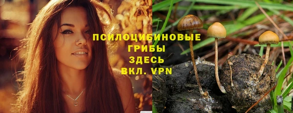 твердый Переславль-Залесский